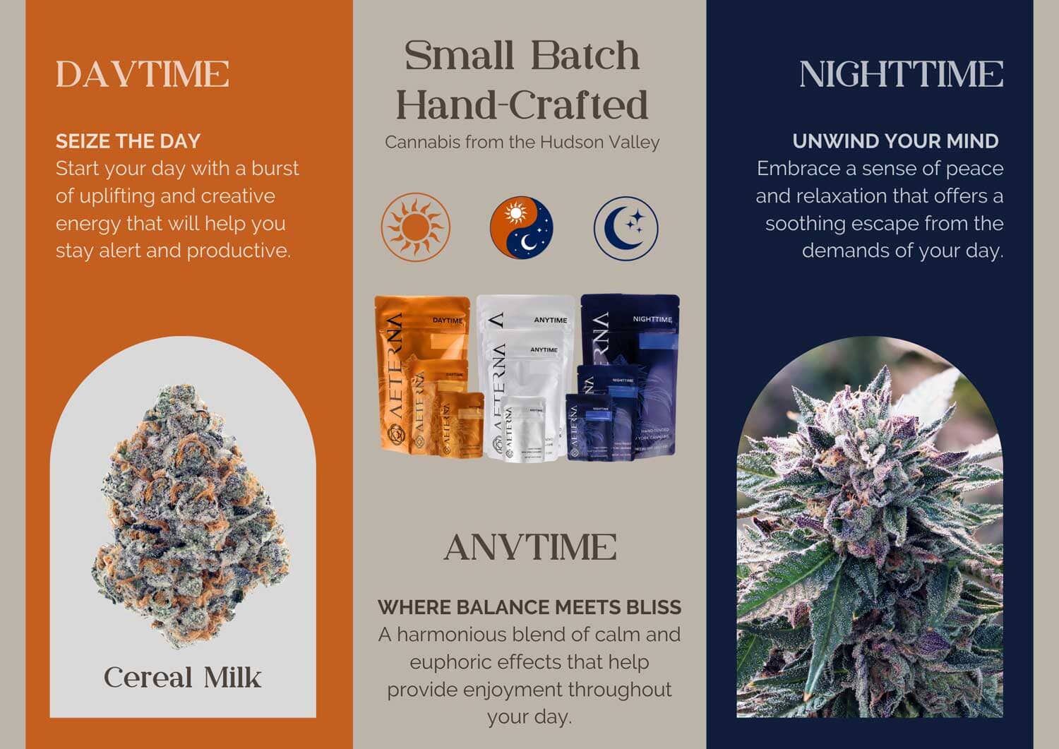 Day Night info sheet